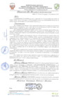 Vista preliminar de documento resolucion-alcaldiaN140.pdf