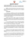 Vista preliminar de documento Resolución Jefatural