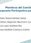 Vista preliminar de documento Miembros del Comité de Vigilancia del Presupuesto Participativo para el año 2023