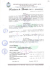 Vista preliminar de documento Resolución de Alcaldía N° 113-2016-MDCA/A.pdf