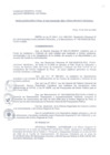 Vista preliminar de documento Resolución Directoral 008-2009