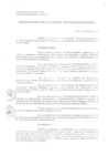 Vista preliminar de documento Resolución Directoral 0010-2009