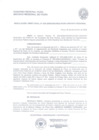 Vista preliminar de documento Resolución Directoral 0028-2009