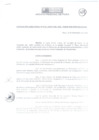 Vista preliminar de documento Resolución Directoral 0032-2009