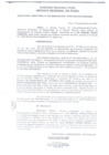 Vista preliminar de documento Resolución Directoral 0030-2009