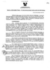 Vista preliminar de documento Resolución Directoral 006-2010