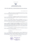 Vista preliminar de documento Resolución Directoral 008-2010