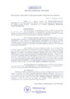 Vista preliminar de documento Resolución Directoral 0020-2010