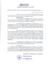 Vista preliminar de documento Resolución Directoral 0021-2010