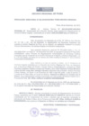 Vista preliminar de documento Resolución Directoral 0032-2010