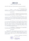 Vista preliminar de documento Resolución Directoral 0029-2010