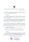 Vista preliminar de documento Resolución Directoral 0017-2012