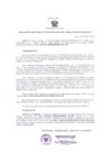 Vista preliminar de documento Resolución Directoral 0010-2013
