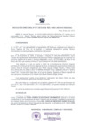 Vista preliminar de documento Resolución Directoral 0017-2013