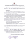 Vista preliminar de documento Resolución Directoral 0020-2013