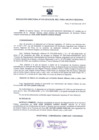 Vista preliminar de documento Resolución Directoral 0010-2014