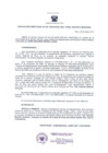 Vista preliminar de documento Resolución Directoral 0031-2014
