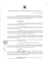 Vista preliminar de documento Resolución Directoral 0010-2015