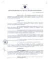 Vista preliminar de documento Resolución Directoral 0011-2015