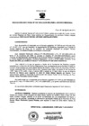 Vista preliminar de documento Resolución Directoral 0025-2016