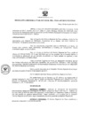 Vista preliminar de documento Resolución Directoral 0028-2017