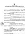 Vista preliminar de documento Resolución Directoral 0027-2017