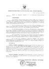 Vista preliminar de documento Resolución Directoral 006-2019