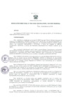 Vista preliminar de documento Resolución Directoral 009-2019