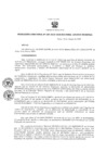Vista preliminar de documento Resolución Directoral 009-2020