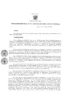 Vista preliminar de documento Resolución Directoral 0011-2020