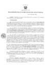 Vista preliminar de documento Resolución Directoral 0012-2020