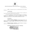 Vista preliminar de documento Resolución Directoral 004-2021