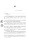 Vista preliminar de documento Resolución Directoral 0020-2020