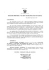 Vista preliminar de documento Resolución Directoral 0022-2021