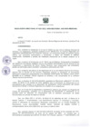 Vista preliminar de documento Resolución Directoral 0020-2021