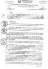 Vista preliminar de documento RGSRLS N°102-2021
