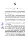 Vista preliminar de documento RGGR_347_2019.pdf