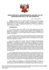 Vista preliminar de documento RES 065-2022-SUNARP-SN