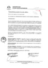 Vista preliminar de documento 0558-2022-MDSJL