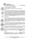 Vista preliminar de documento 0008-2022-MDSJL