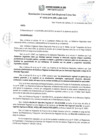 Vista preliminar de documento RGSRLS N°232-2019