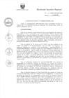 Vista preliminar de documento R.E.R. Nro 225-2022-GR-GR PUNO.pdf