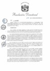 Vista preliminar de documento RD 31-2019-PNSU