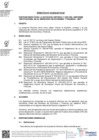 Vista preliminar de documento DIRECTIVA05_2022EF4302.pdf