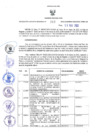 Vista preliminar de documento RER N° 263-2022