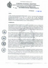 Vista preliminar de documento REA N°046.pdf