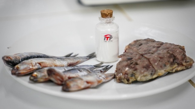 anchoveta