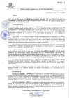 Vista preliminar de documento RG-41-2020-MDC.pdf