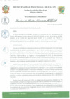 Vista preliminar de documento R.A 049.pdf