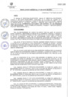 Vista preliminar de documento RG-226-2019-MDC.pdf